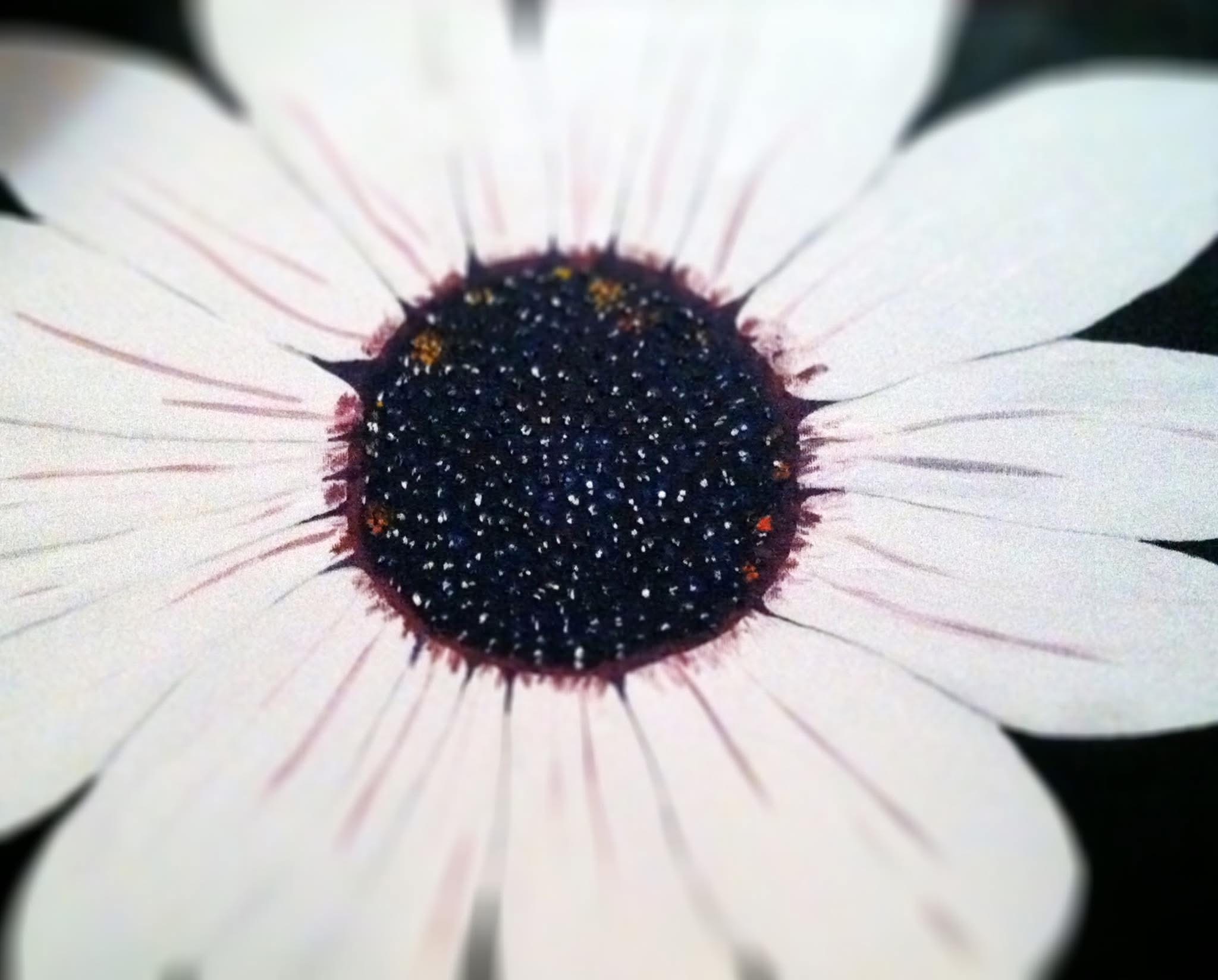 Mini flower